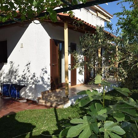 Beautiful Home By The Sea PalaiónTsiflíkion Екстериор снимка